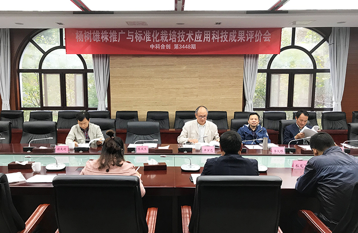 杨树雄株推广与标准化栽培技术应用 anli.jpg